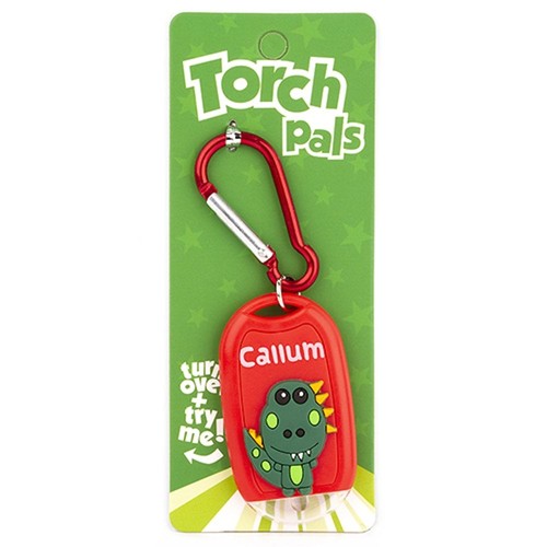Stands out torch - torch,