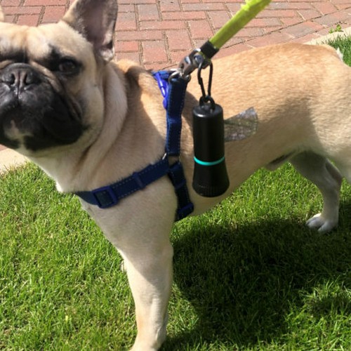 Neat ideas paw pal pet - ideas,