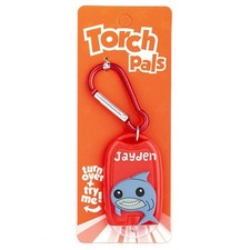 Stands Out Torch Pals Jayden -