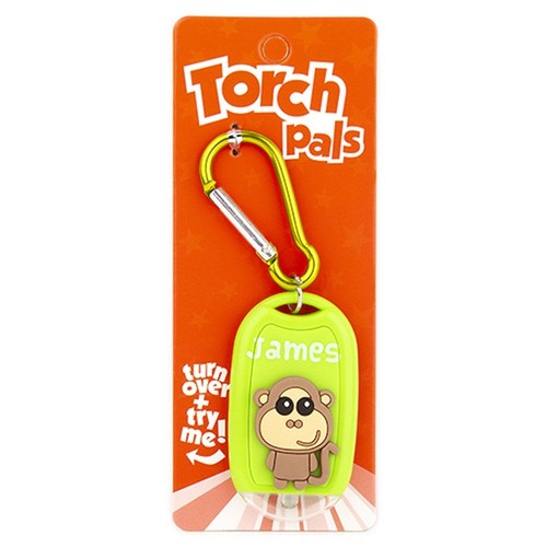 Stands out torch pals james - james,