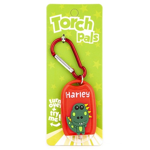 Stands out torch - out, harley